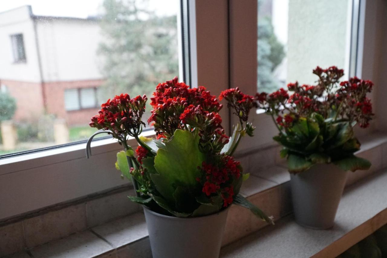 Apartament Paderewski Poznań Buitenkant foto